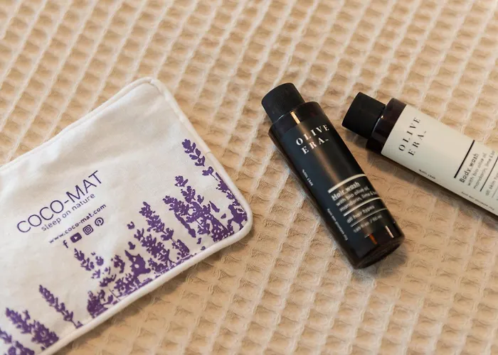 Ellinas Hotel Chrysi Ammoudia