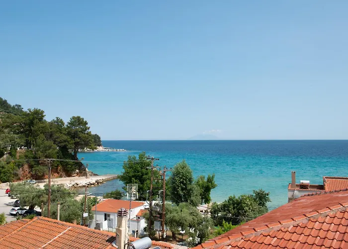 Ellinas Hotel Chrysi Ammoudia