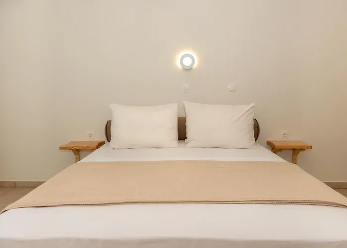 Hotel Ellinas Chrysi Ammoudia